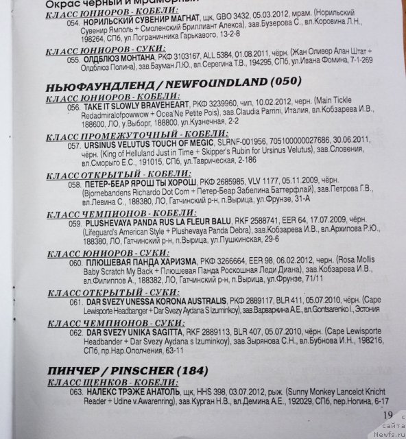 Фотография № 115707