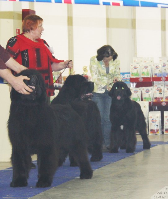 Фотография № 115709