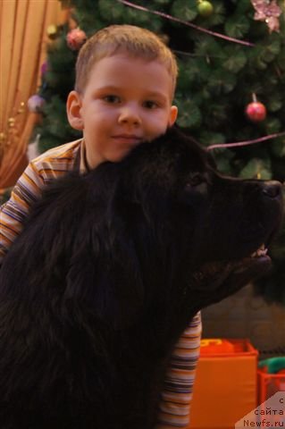 Фотография № 115743