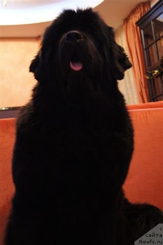 Фотография № 115744