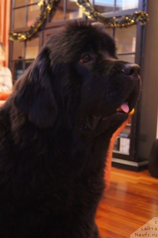 Фотография № 115745