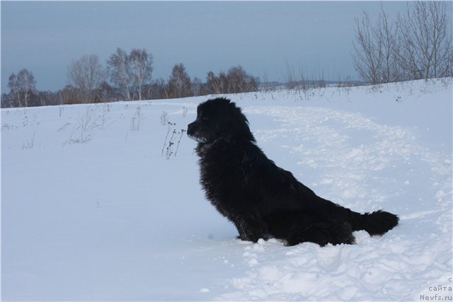 Фотография № 115750