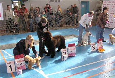 Фотография № 11576