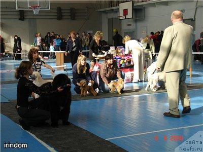 Фотография № 11577