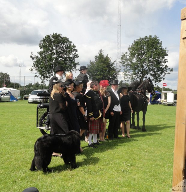 Фотография № 115773