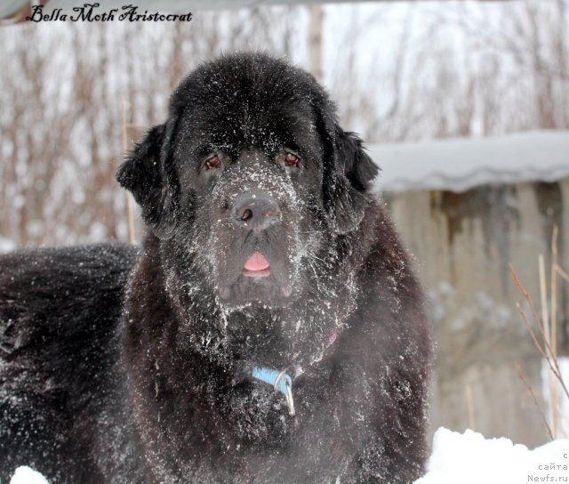 Фотография № 115781