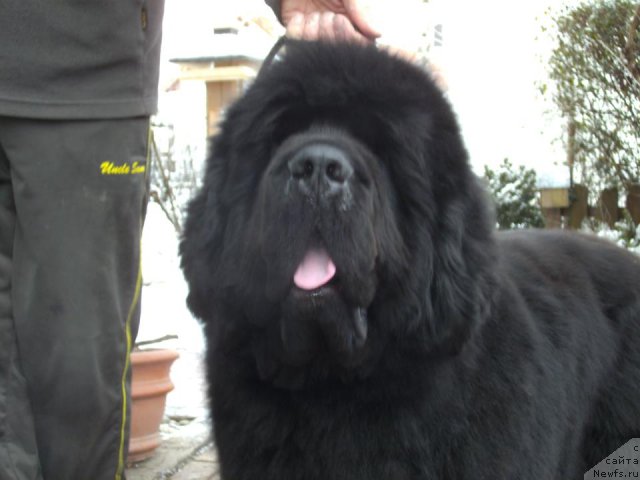 Фотография № 115824