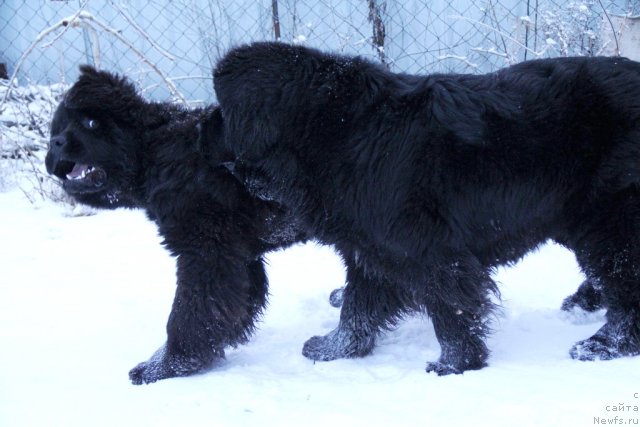 Фотография № 115826