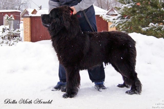 Фотография № 115833