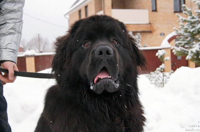 Фотография № 115834