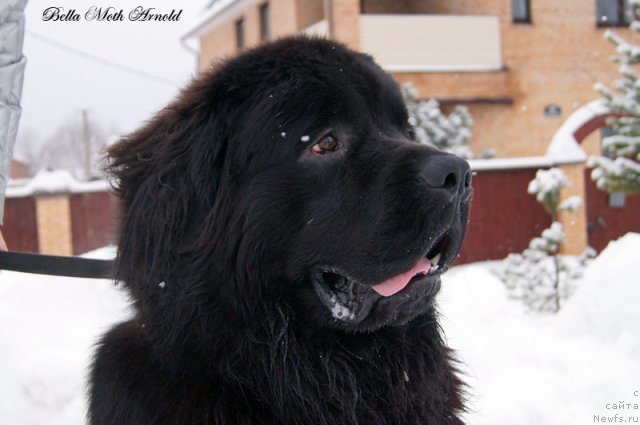 Фотография № 115835