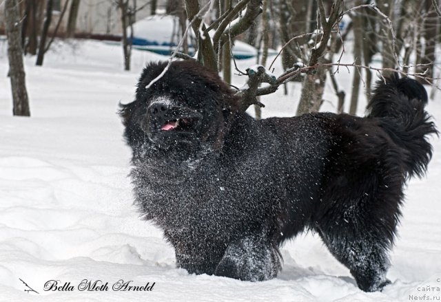 Фотография № 115843