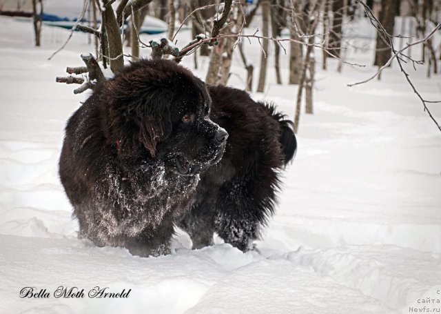 Фотография № 115844