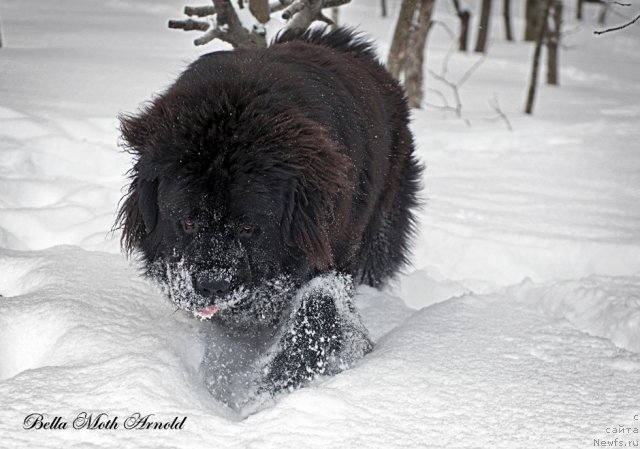 Фотография № 115845