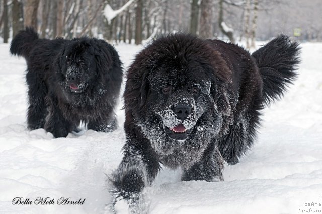 Фотография № 115847