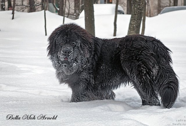 Фотография № 115848