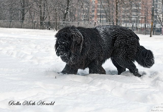 Фотография № 115850