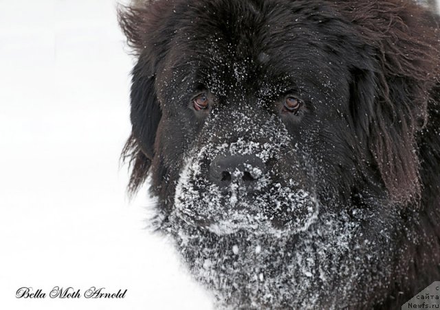 Фотография № 115851