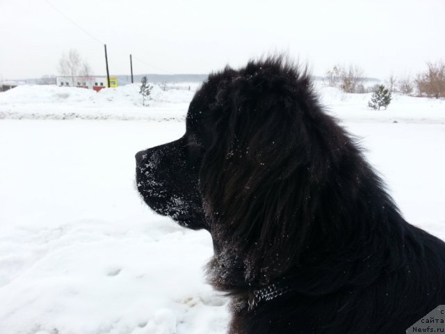 Фотография № 115885