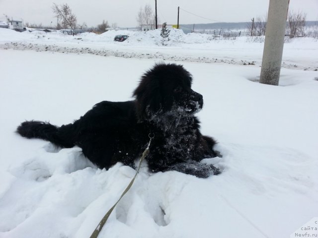 Фотография № 115886