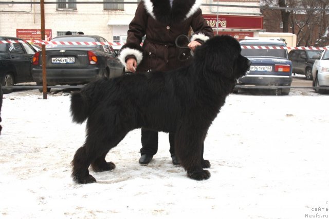 Фото: Оскар из Золотого Треугольника