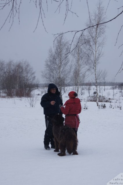 Фотография № 116028