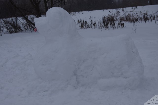 Фотография № 116029