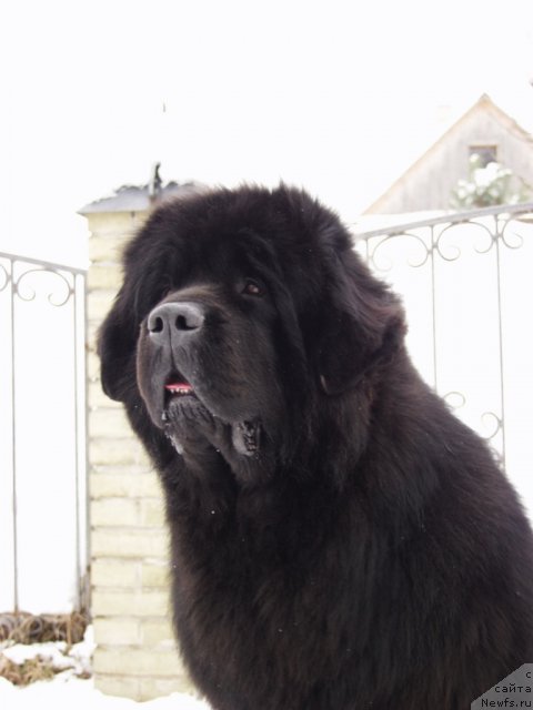 Фотография № 116044