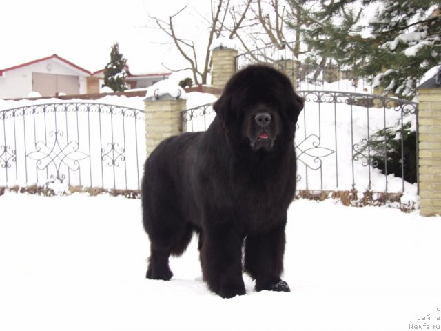 Фотография № 116046