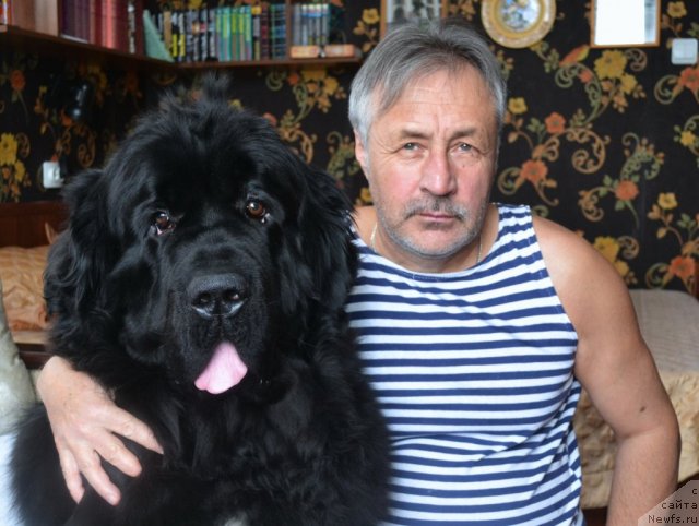 Фотография № 116085