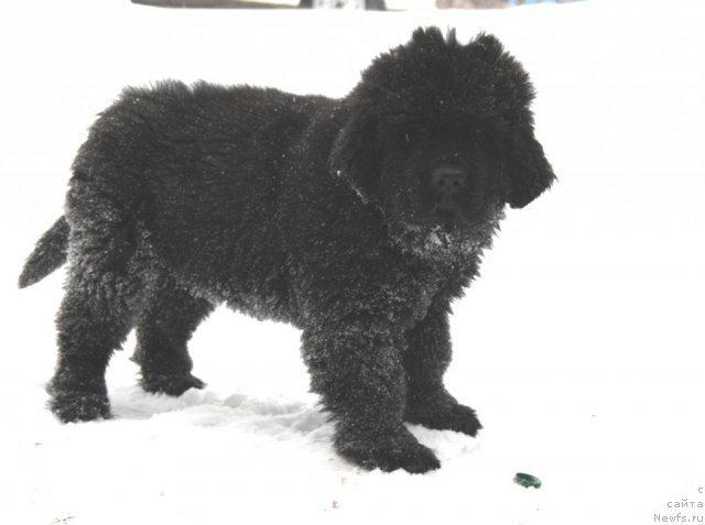 Фотография № 116117