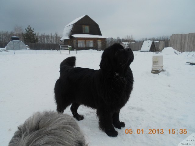 Фотография № 116127