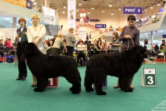 Фотография № 116143