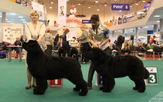 Фотография № 116146