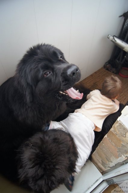 Фотография № 116156