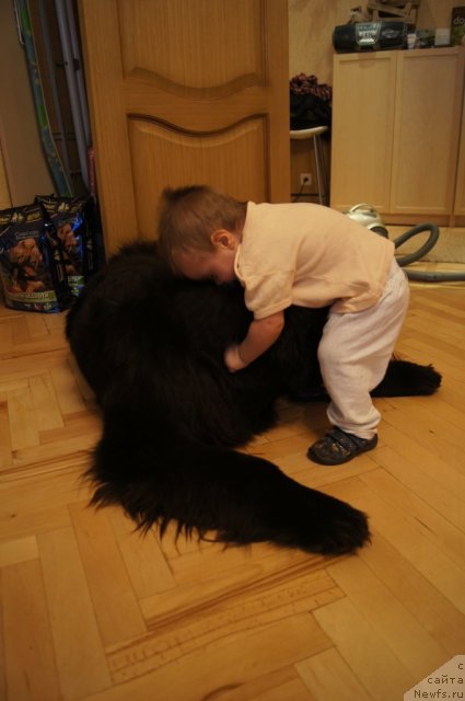 Фотография № 116157