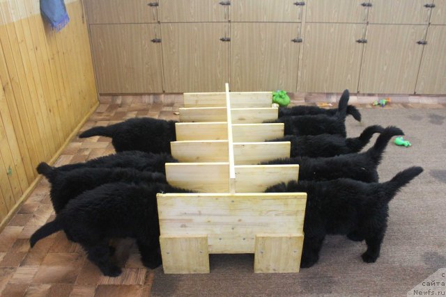 Фотография № 116178