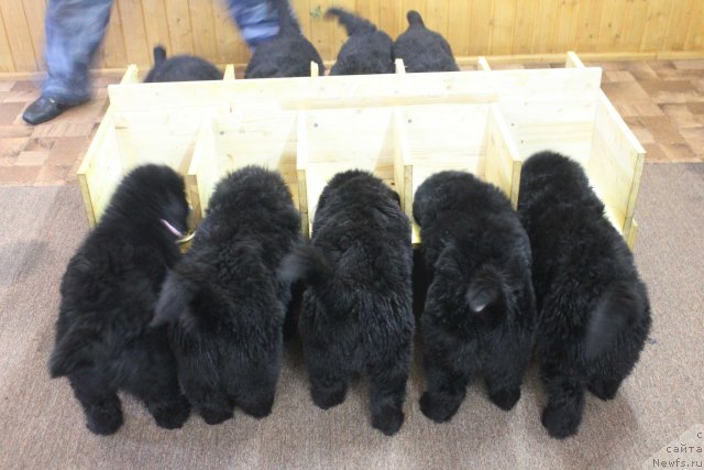 Фотография № 116179