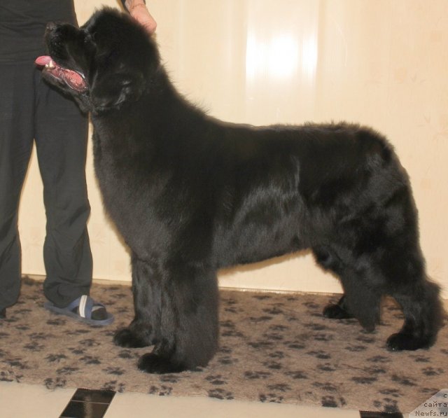 Фотография № 116182