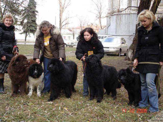 Фото: Natal'ya Tatarinova (Наталья Татаринова), Anna Kolesnikova (Анна Колесникова)