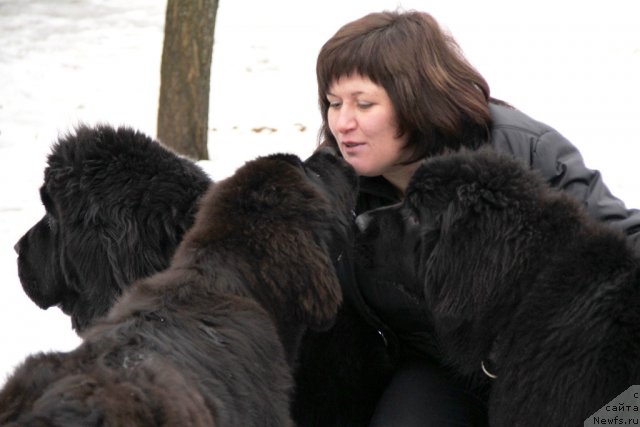 Фотография № 116237