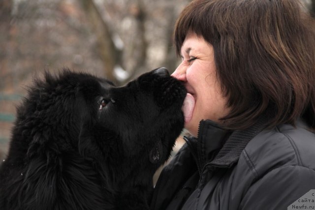 Фотография № 116239