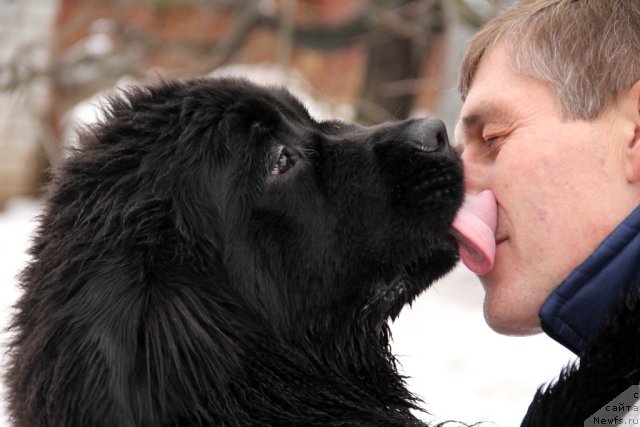 Фотография № 116240