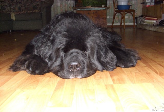 Фотография № 116253