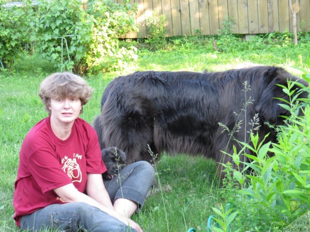 Фото: Anna Petrushkina (Анна Петрушкина), ньюфаундленд Melty Wave Marine Tifeya (Мелти Вейв Марин Тифея), ньюфаундленд Dyurbahler Klab Al'faretta Vin'etta (Дюрбахлер Клаб Альфаретта Виньетта)