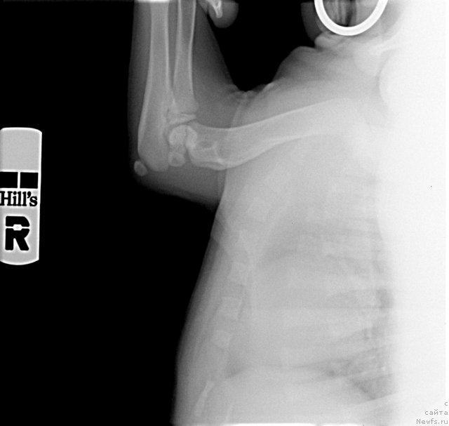 Фотография № 116289