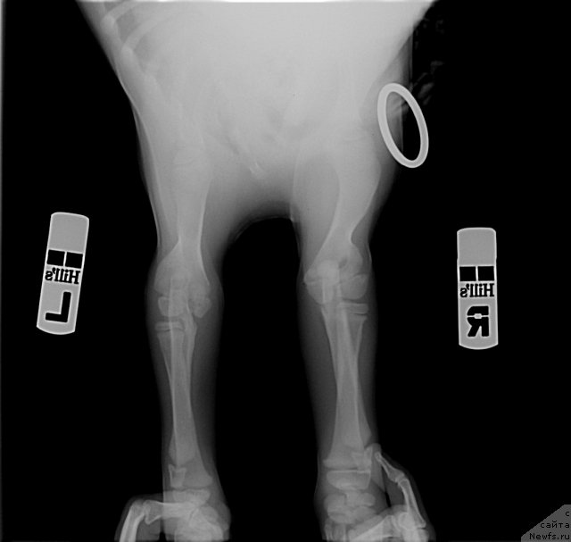 Фотография № 116291