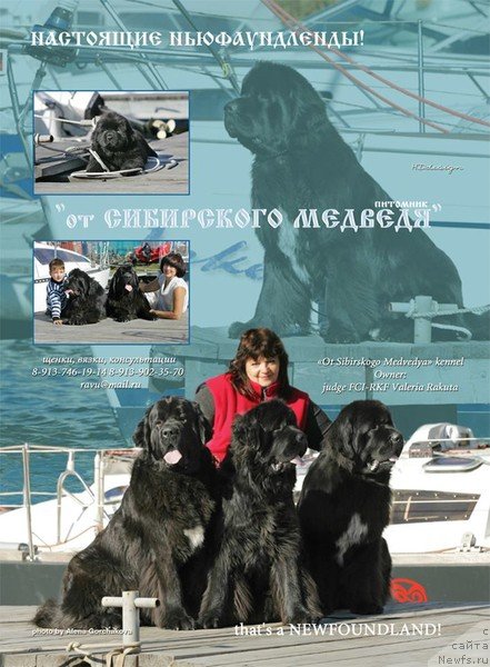 Фотография № 116336