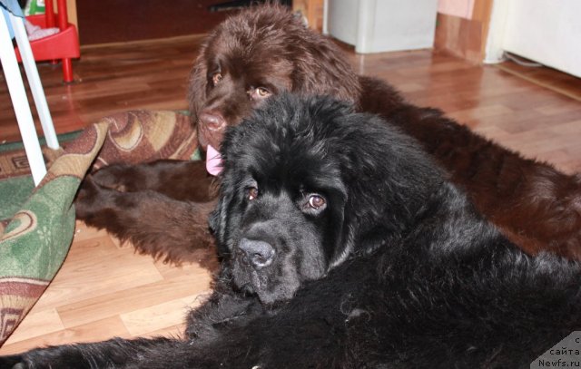 Фотография № 116342