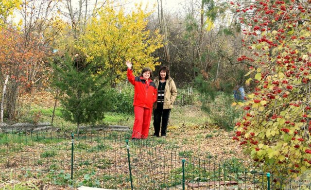 Фото: Natal'ya Tatarinova (Наталья Татаринова), Tat'yana Leusenko (Татьяна Леусенко)